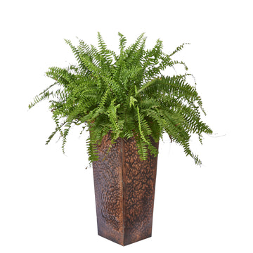 Planters