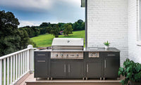 Outdoor Kitchens Traditional