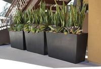 Planters