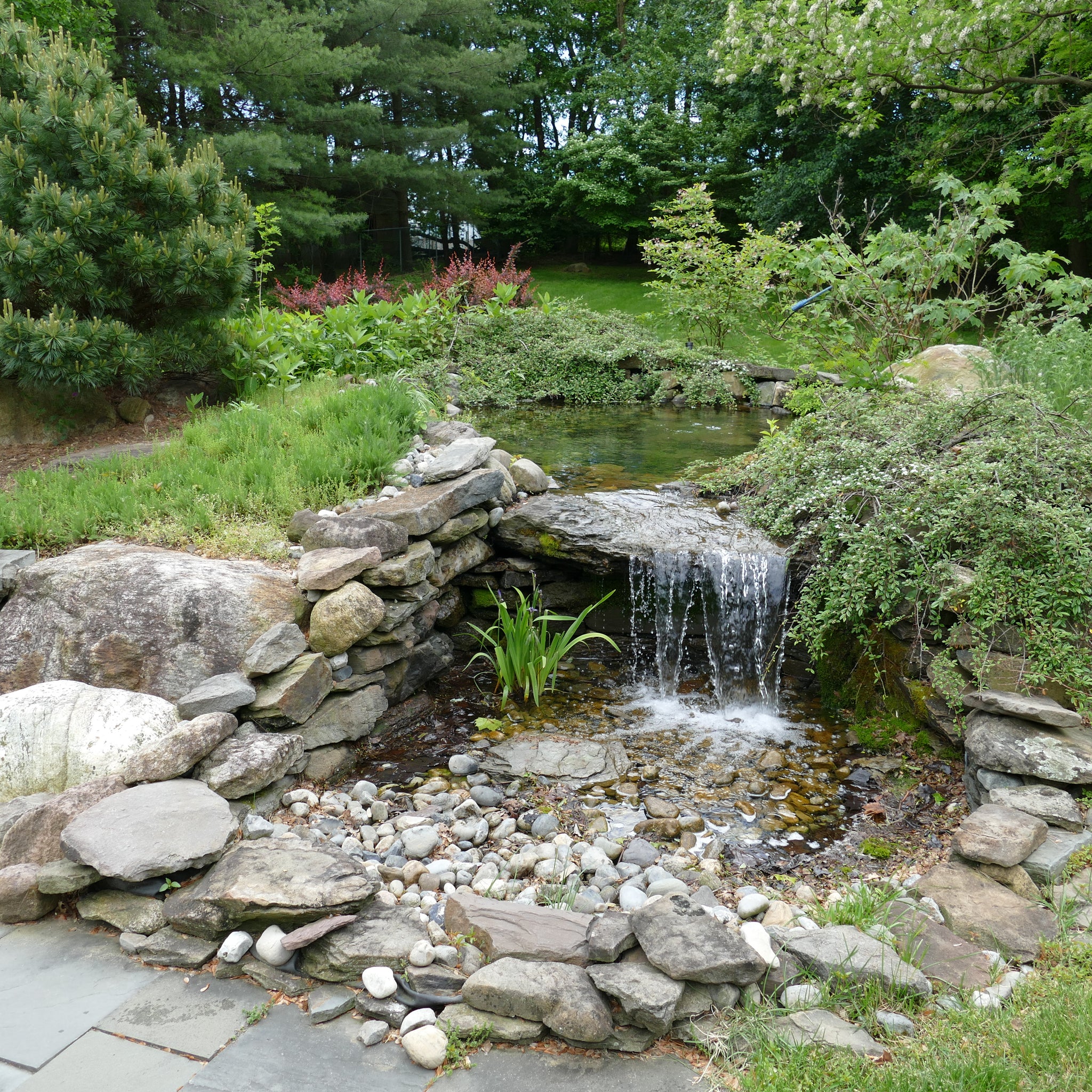 P1000079.JPG