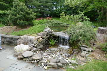 P1000079.JPG